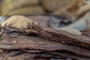 dried tobacco leaves