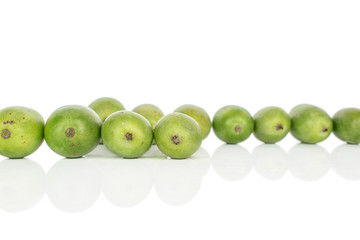 Lot of whole hardy green kiwi in row isolated on white background
