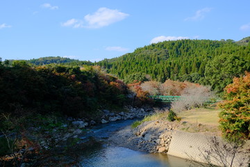 緑の橋の下を静かに流れる川