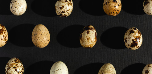 Quail eggs on a black background. Stock photo.