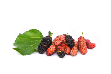mulberry fruit on a white background.