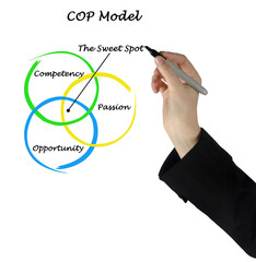 Sweet spot of COP model