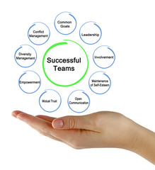 Nine prerequests for Successful Teams