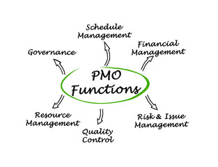 Functions of Project Management Office.