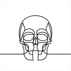 Skull line icon, outline vector sign, linear style pictogram isolated on white. , outline vector sign, linear style pictogram isolated on white.