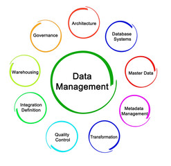 Nine components of Data Management.