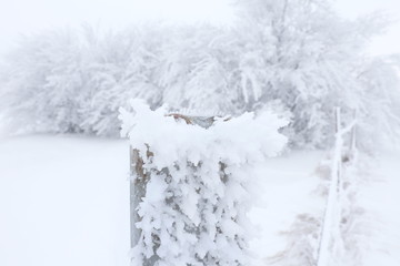 Soft focus of closeup hoarfrost on metal fence in winter season of Canada, look cold and beautiful.