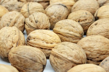 Tasty walnuts located on a white background