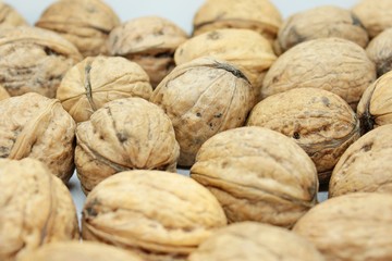 Tasty walnuts located on a white background