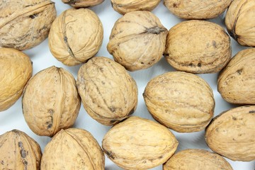 Tasty walnuts located on a white background