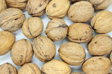 Tasty walnuts located on a white background