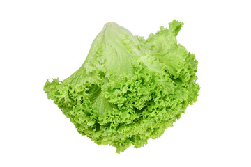 Iceberg lettuce isolated on white background.