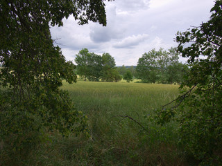 Obraz premium Beautiful countryside landscape between the trees.