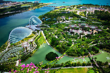 Singapore - January 7 2019: Top view of the Gardens by the bay - obrazy, fototapety, plakaty