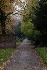 Fototapeta na wymiar Herbstlicher Park