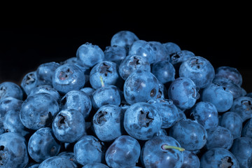 Close up of Bog bilberry, bog blueberry, northern bilberry or western blueberry (Vaccinium uliginosum) on black background.