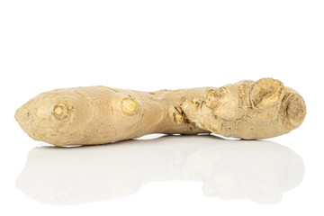 One whole fresh brown ginger isolated on white background