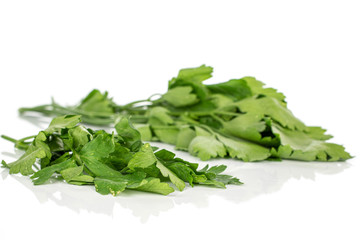 Lot of whole fresh green parsley front focus isolated on white background