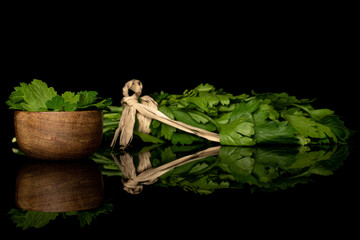 Lot of whole lot of pieces of fresh green parsley with straw rope in bamboo bowl isolated on black glass