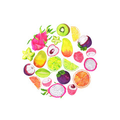 Tropical fruit circle isolated on white background. Hand drawn watercolor illustration.