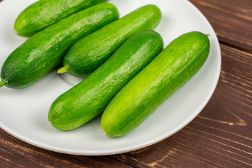 Group of five whole fresh green baby cucumber on white ceramic plate on brown wood