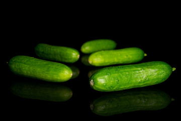 Group of five whole fresh green baby cucumber isolated on black glass