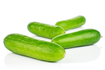 Group of four whole fresh green baby cucumber isolated on white background