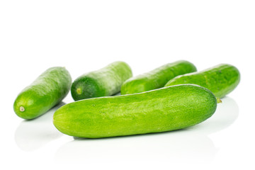 Group of five whole fresh green baby cucumber isolated on white background