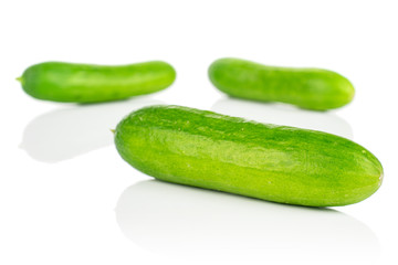 Group of three whole fresh green baby cucumber isolated on white background