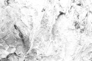 The old wood texture with deep natural patterns and cracks on the surface on black and white colours.