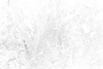 The old wood texture with deep natural patterns and cracks on the surface on black and white colours.