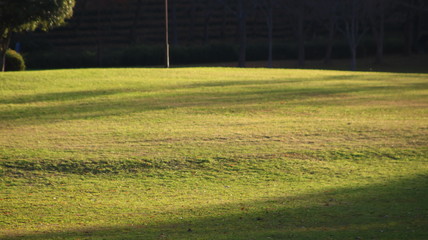 Fototapeta premium 秋の三田市の風景