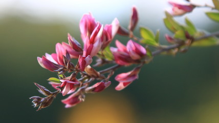Fototapeta premium 秋の三田市の風景