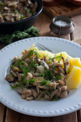 Oyster mushrooms fried with boiled potatoes on a white plate, selective focus