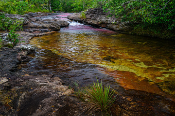 The rainbow river or five colors river is in Colombia one of the most beautiful nature places, is called Crystal Canyon