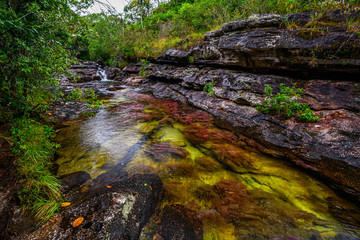The rainbow river or five colors river is in Colombia one of the most beautiful nature places, is called Crystal Canyon