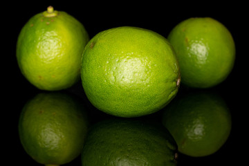 Group of three whole sour green lime isolated on black glass