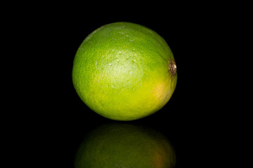 One whole sour green lime isolated on black glass