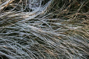 frost © Artur
