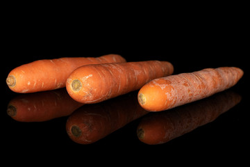 Group of three whole fresh orange carrot in row isolated on black glass