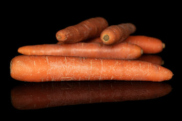 Group of five whole bright fresh orange carrot isolated on black glass