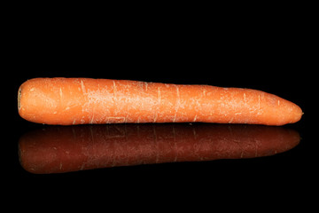One whole fresh orange carrot isolated on black glass