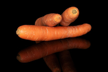 Group of three whole fresh orange carrot isolated on black glass