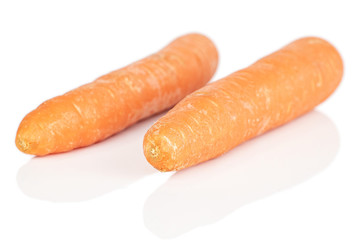 Group of two whole fresh orange carrot isolated on white background