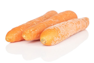 Group of three whole fresh orange carrot isolated on white background