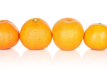 Group of four whole fresh orange mandarin in line isolated on white background