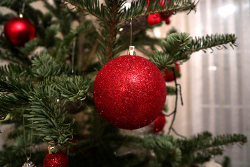 Christmas decoration on fir tree. Red ball close up.