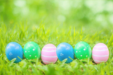 Easter eggs in Green Grass