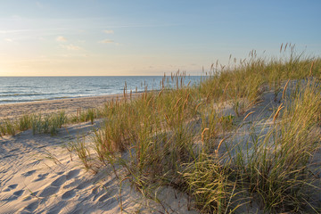wild beach Sand dunes and dune grass at sunset,