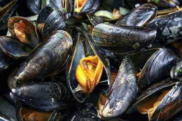 mussels cooked in the marinière